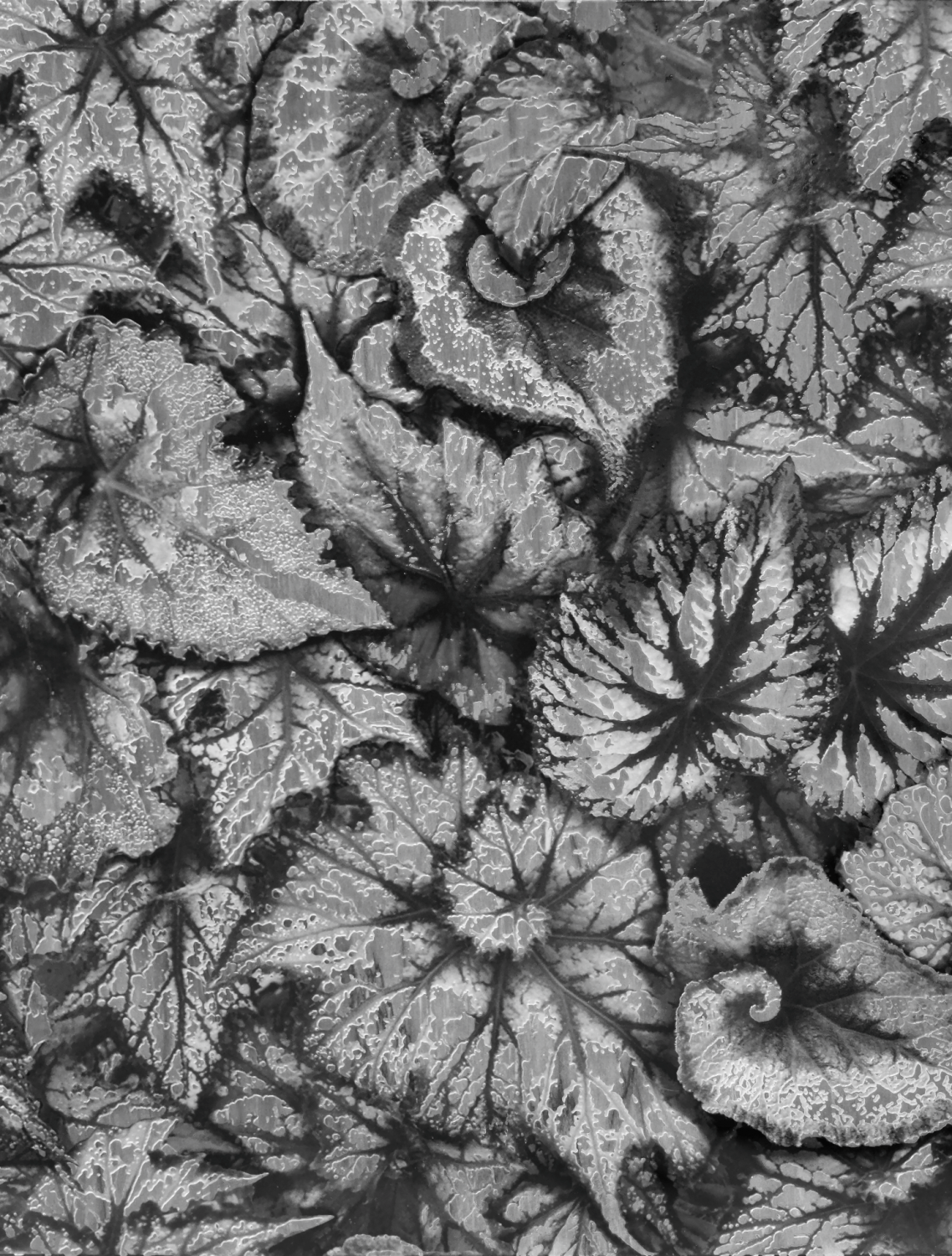 Мраморная плитка Stonature Autumn