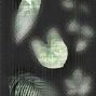 Плитка-декор из керамогранита MOP120278CDW / OP120278CDW CLOUDY WHITE