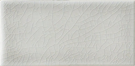 Плитка керамическая Argento Cr. NN110