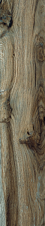 плитка из керамогранита под дерево SOFT_ASH 20.5x100