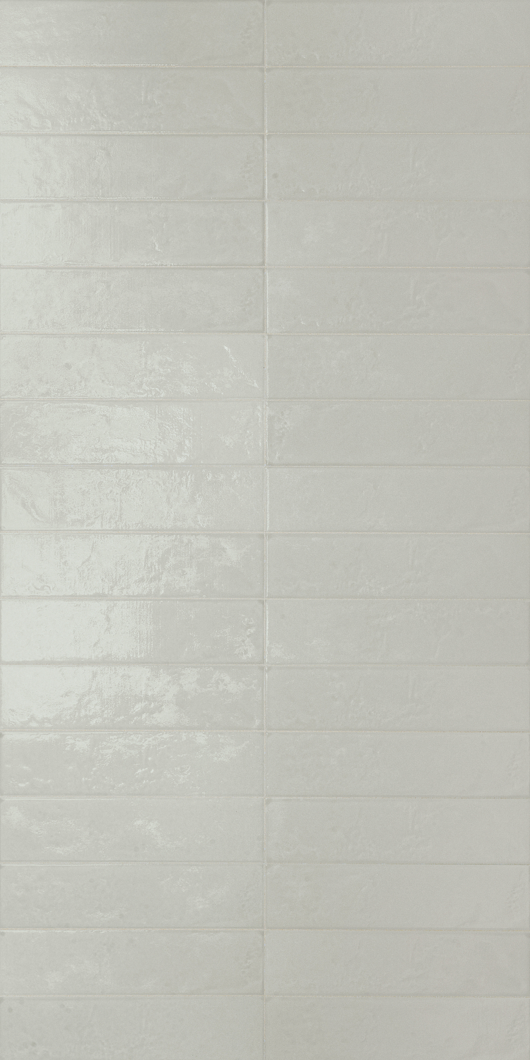 Плитка из керамоганита Regoli Grigio Glossy F695